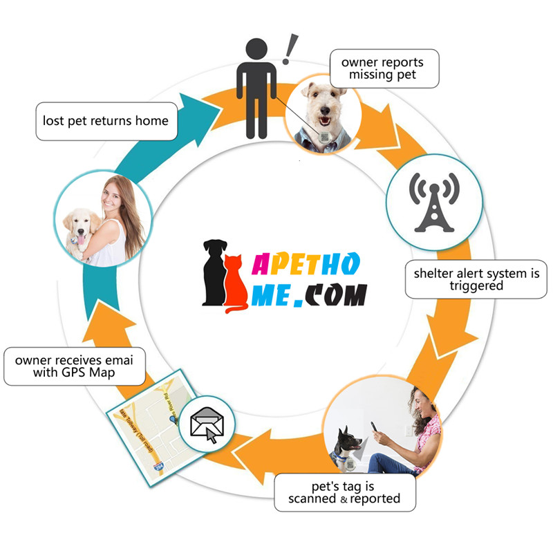 Henkilökohtainen koiran tunnisteet ja kissan tunnisteet Ruostumaton teräs Smart Pet ID -tunnus QR-koodi Skannattu GPS Sijainti