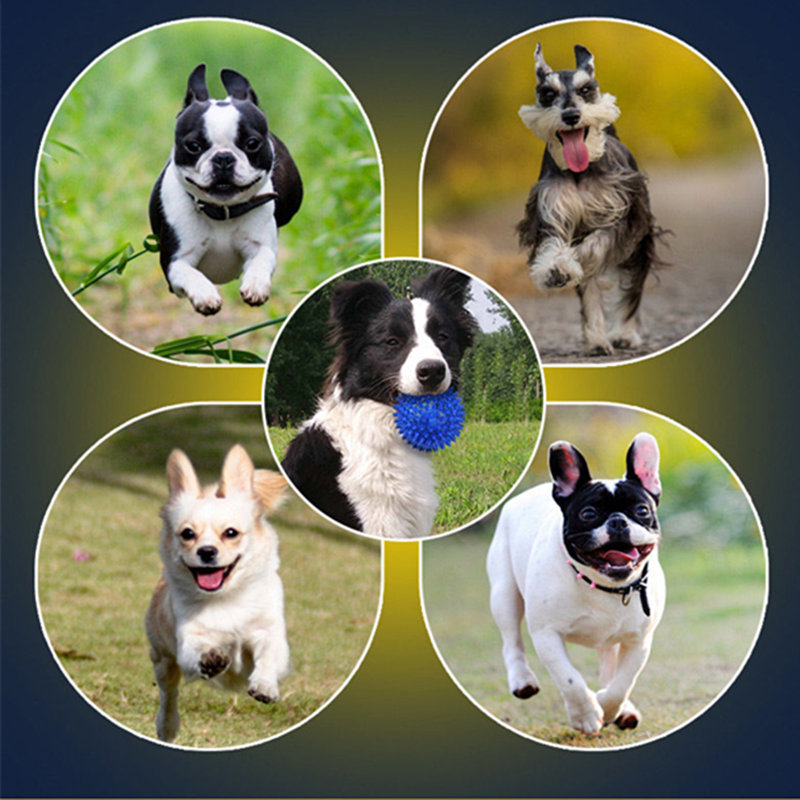 miten vähentää tuhovoiman koiria