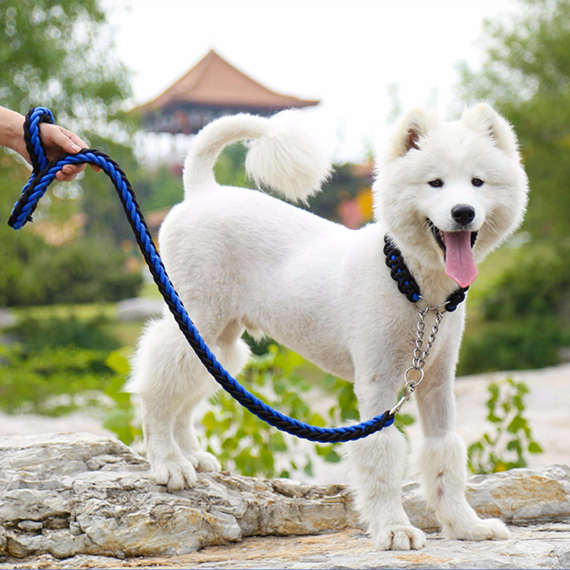 vinkkejä viimeistely koirasi on kynnet.