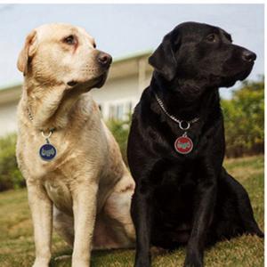 2018 Hot Sale Dog- tai Cat ID Tunnisteet Kaiverrettu tai QR Code Pet Tag