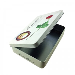 Mukautettu suorakulmainen kosmeettinen tinapaketti kasvonaamipakkauksiin saranoidulla kannella