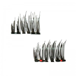 Kaksinkertainen magneettivirhe