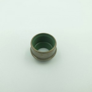 Korkean lämpötilankestävä Viton-kumiöljytiiviste Venttiilivarren tiiviste Santana-autoihin