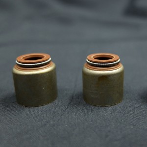 Kiinalainen toimittaja venttiilivarren tiiviste Renault-autoihin