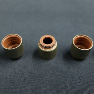 Kiinalainen toimittaja venttiilivarren tiiviste Renault-autoihin