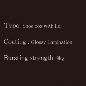 Kenkäkotelo, jossa on kansi tyyppi2