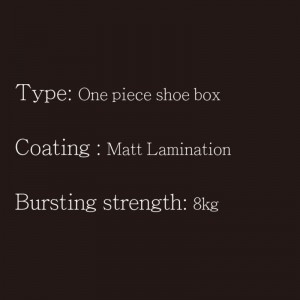 Kenkälaatikko One Piece Type5