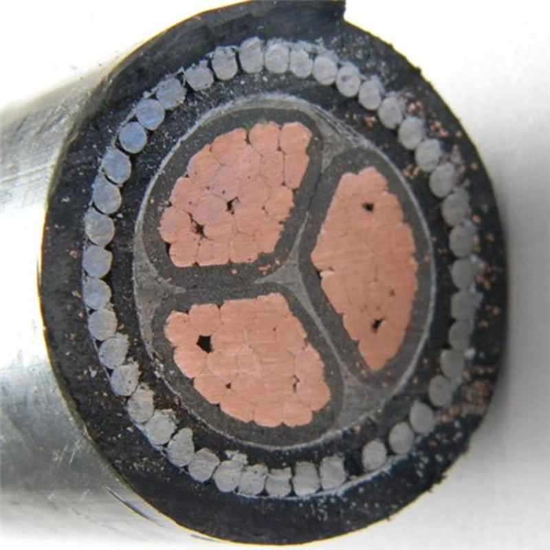 16mm² 3-ydininen teräslanka, panssaroitu kaapeli, kuparilanka, kierretty sisätilojen asettamiseen