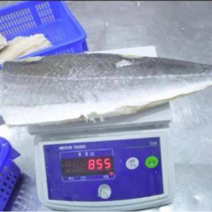 Jäädytetyt kevyt suolatut Atlantin seitin fileet