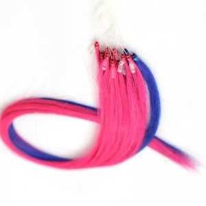 Mikrorengas --Crown07