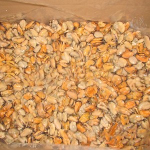 Jäädytetty keitetty simpukoiden liha