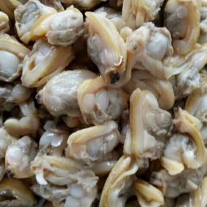 PAKASTETTU KYTKENETTY CLAMIN LIHA