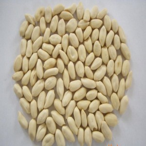 Maapähkinän kuivakuorintakone