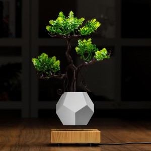 magneettinen levitaatio kelluva pohja ilma bonsai potin istutuskoneet PA-0708