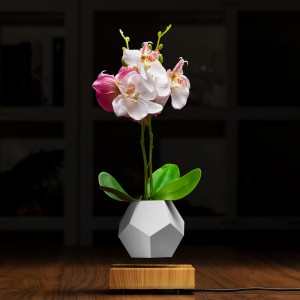 magneettinen levitaatio kelluva pohja ilma bonsai potin istutuskoneet PA-0708