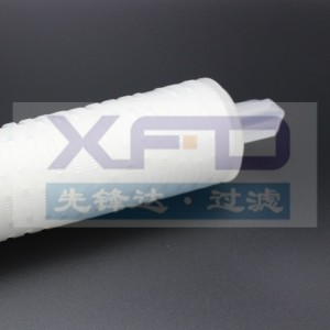 Laskostettu suodatinpatruuna --- RFG