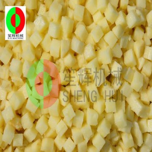 Hedelmien ja vihannesten paloittelulaite / melonin paloittelukone / perunan paloittelulaite / nopea viipalointilaite SH-109