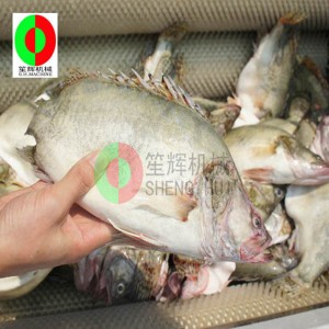 Melonin hedelmien puhdistuskone / melonin hedelmien puhdistuskuorintakone / melonin hedelmäharjan puhdistuskuorintakone QX-612 uusi