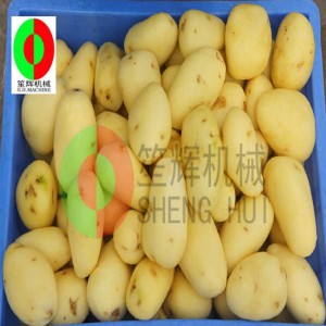 Melonin hedelmien puhdistuskone / melonin hedelmien puhdistuskuorintakone / melonin hedelmäharjan puhdistuskuorintakone QX-612 uusi