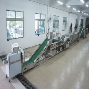 Suuri purjo tappaa tuotantolinjan