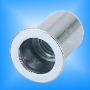 Litteä pää pyöreä runko