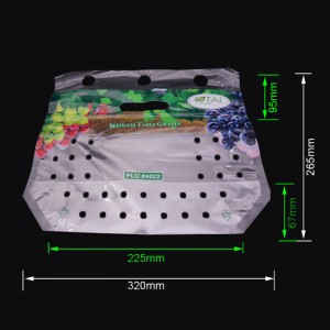 Ympäristöystävälle painettu muovinen rypäleen hedelmä ziplock-pakkauspussi, jossa on tuuletusaukot