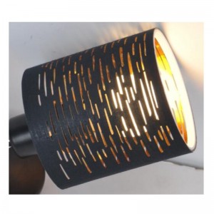 Spot light-1LT laserleikatulla kankaan varjolla