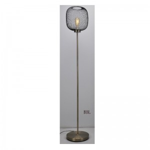 Moderni lattiavalaisin, verkon sävy