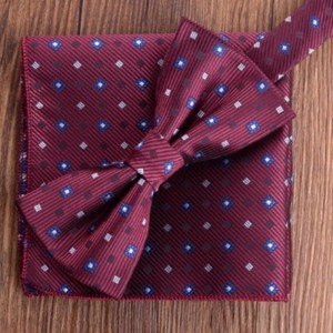 100% Silkki Woven Bowtie