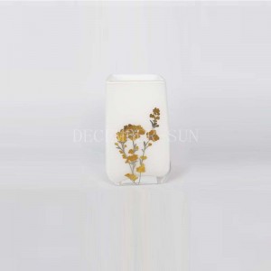 Neliönvalkoinen, kultaisella vaalealla valmistetulla lasihuoneella varustetuilla hammasharjatelineellä