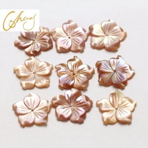 Helmiäiti kuori korut materiaalia