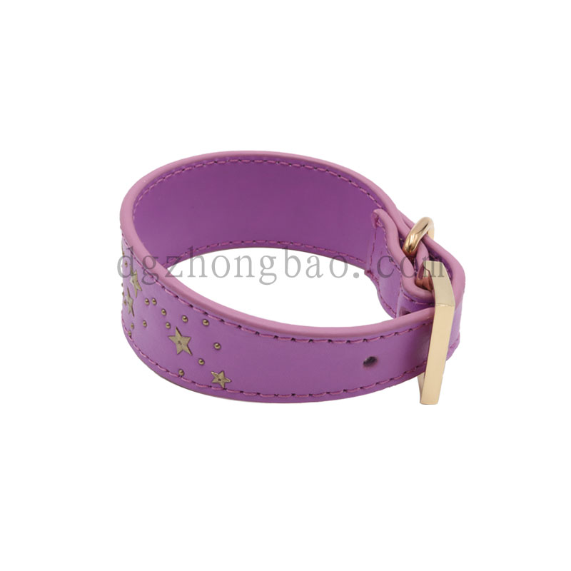 Impitointi Star Metall Stud Pet -kaulus