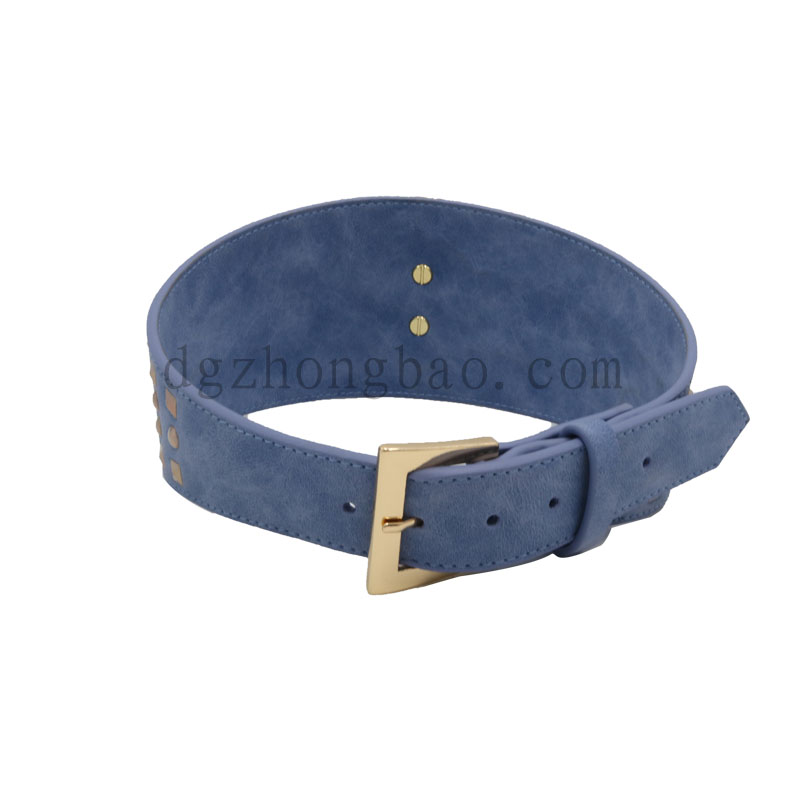 Erikoinen koiran kaulus