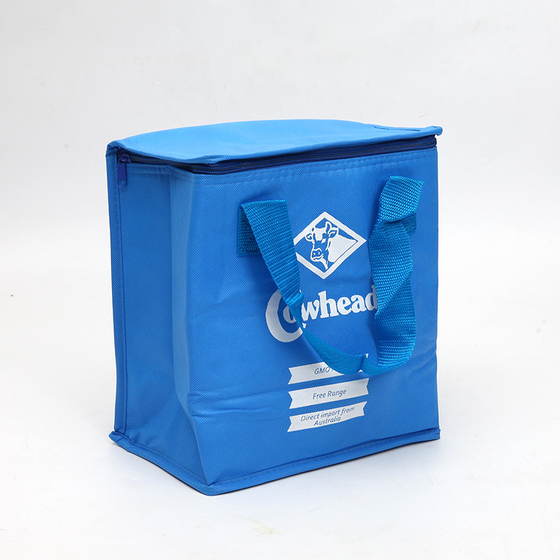 SGC30 tukku halpa tarjoushinta kierrätettävä mukautetun logon painettu päivittäistavarakaupan kangaseristeinen jäähdytinpussi