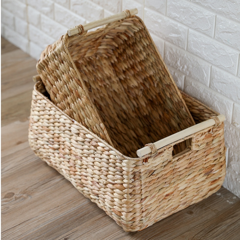 Sarja 3 vesisyasintin säilytyskoria