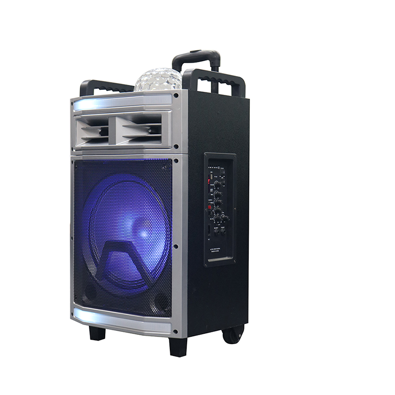 Trollry-kaiutin Y-B22-12H