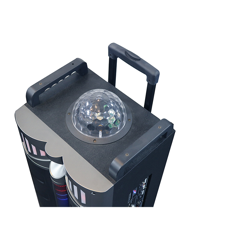 Trollry-kaiutin Y-DJ1201-12H