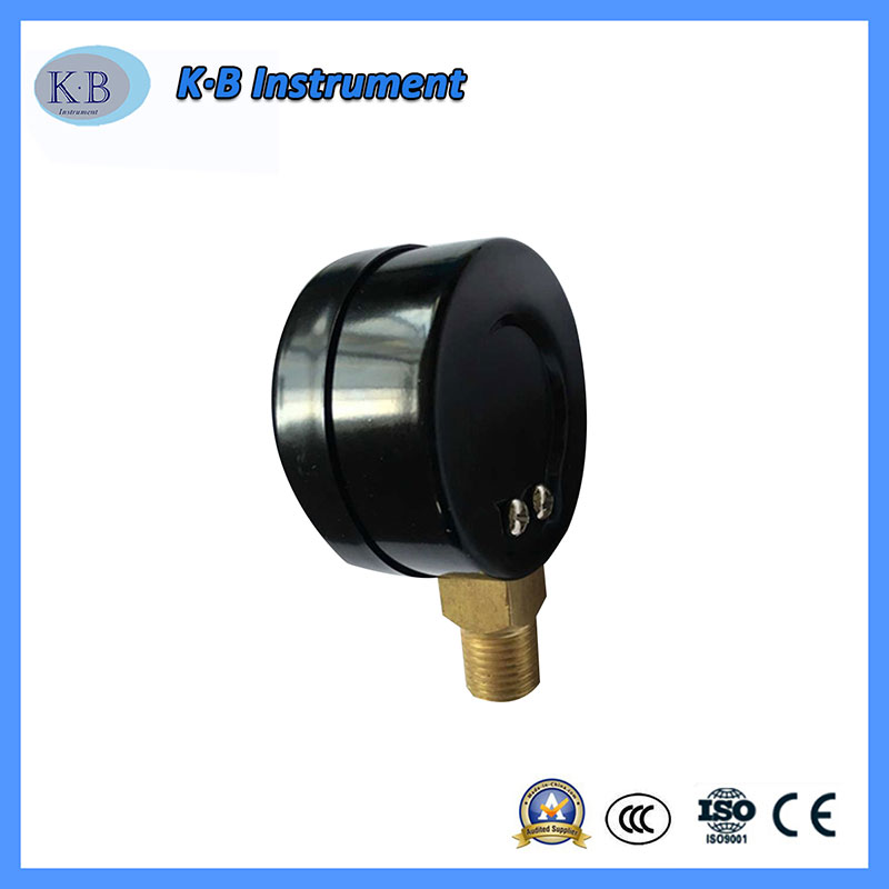 Mustassa tapauksessa Brass Movement and Inner Hydraulic Gauge Dry Type Dry Commercial Paine Gauge for Pump Equipment Parts