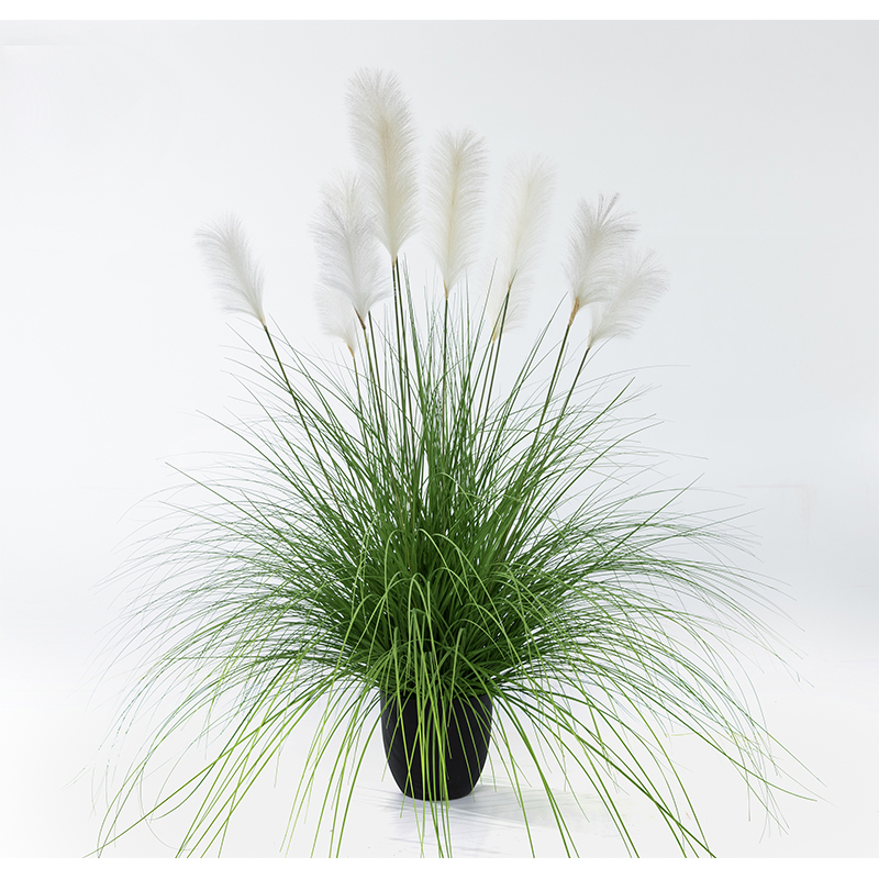 OH10920017/ OH10920018