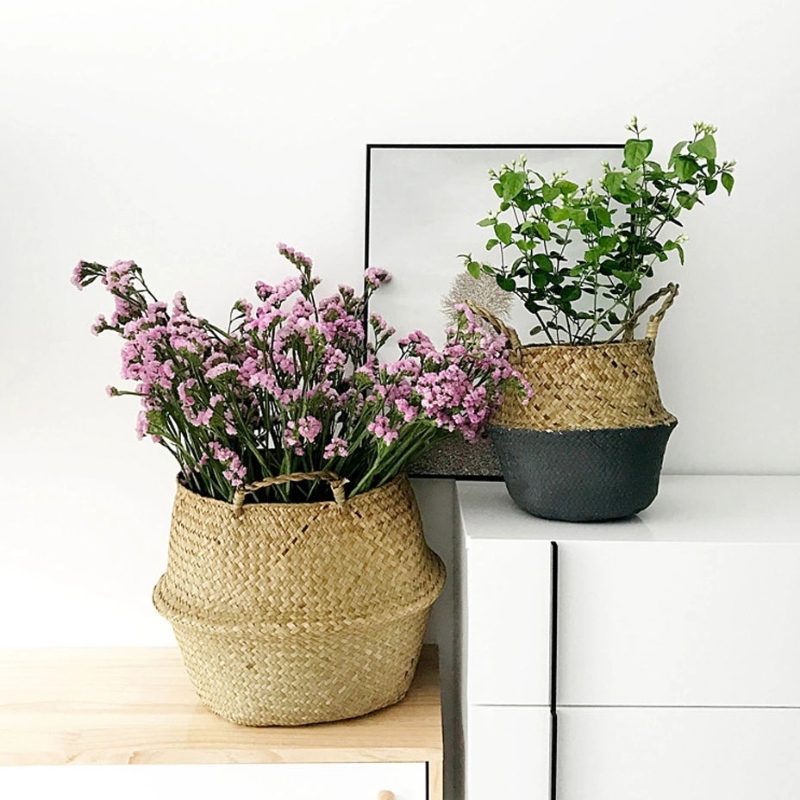 Kasvien jalustaan ​​kudottu merirohun vatsakori roikkuvaan meriruohon koriin