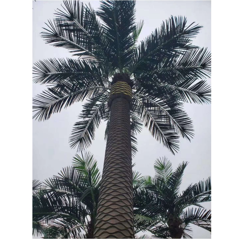 Suuri ulkoinen tekopäiväys Palm Trees