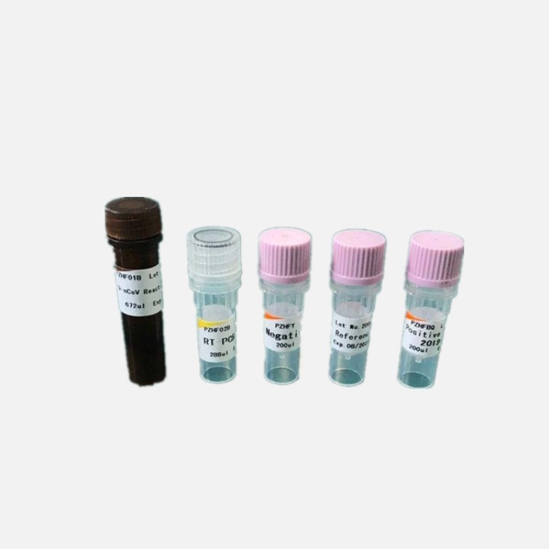 COVID-19 RT-PCR-ilmaisimen Kit