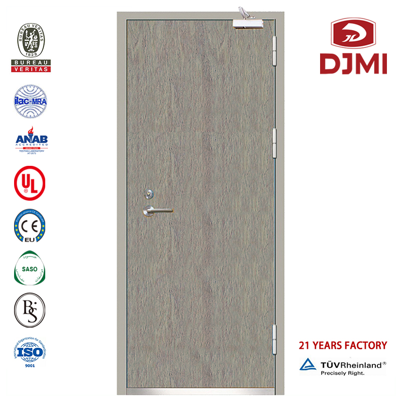 Kiinan tehdas kaupallisessa moottorikäytössä Lämmönkestävä teräspaloovi Korkealaatuinen 2 paneelia Bs Tuli sisäisellä turvallisuusliimalla Räjähdyssuojattu teräsovi Halpa luokiteltu palo-uloskäynti Teräsvarkaudenkestävä ovi