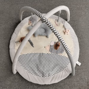 Constellation name (optional)