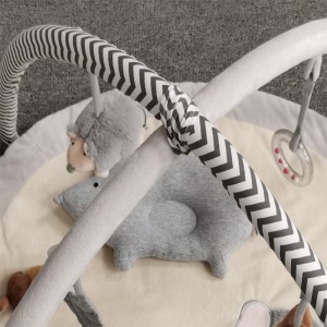 Constellation name (optional)