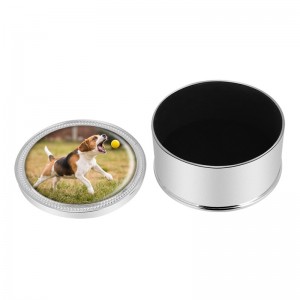 Metallinen urna koiran tuhkalle