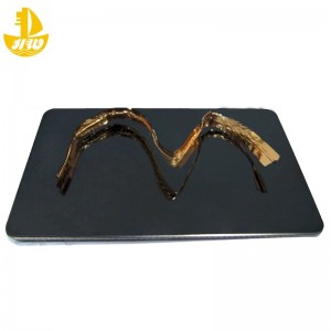 Ruostumaton teräs peilipaneelinro 3