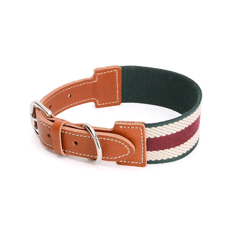 Ribbon kaulus