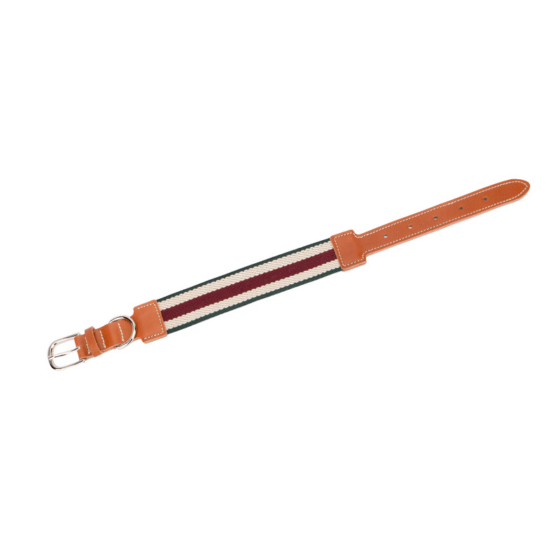 Ribbon kaulus