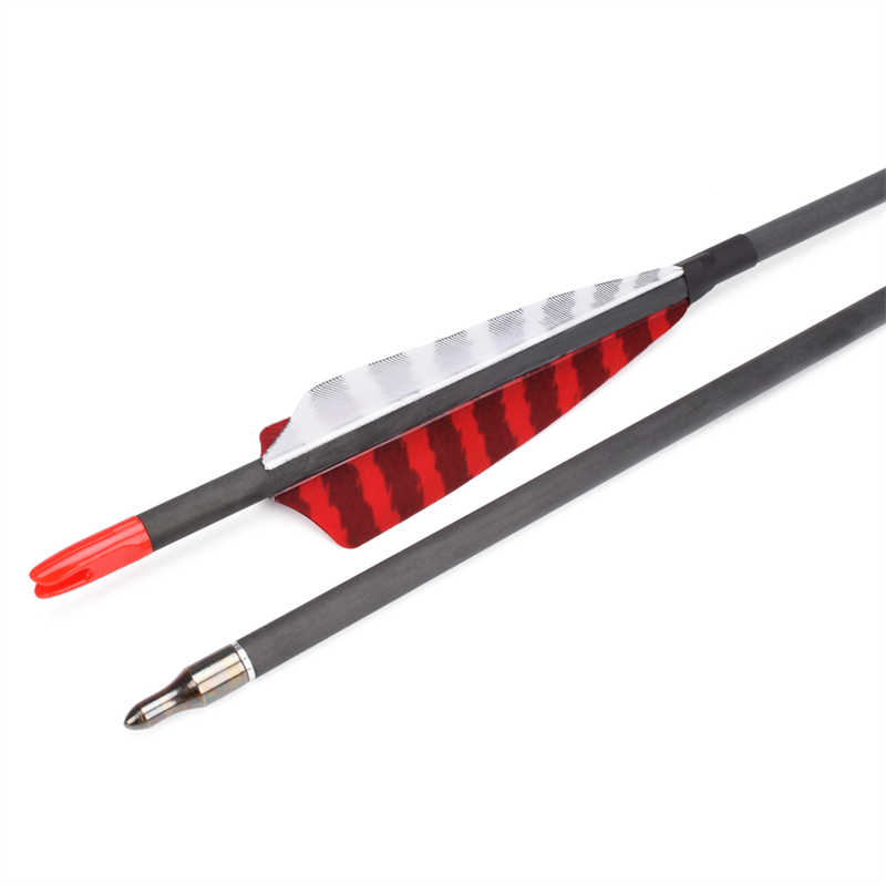 Elong Outdoor 112837 ID6.2mm SP500 hiilikuitu arrow Turkki höyhen jousiammunta ammunta
